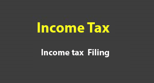 income Tax Service  in Tuticorin